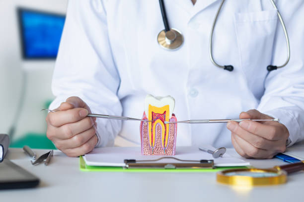 Best Emergency Broken Tooth Repair in West Springfield, VA